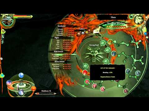 Let's Play The Witcher *blind*-Part 9- The Beast