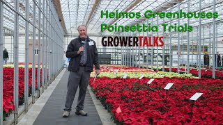 At the 2025 Hoffmann Heimos Poinsettia Trials With GrowerTalks Magazine