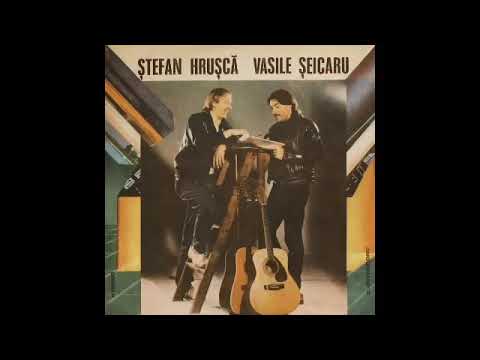 Ștefan Hrușcă, Vasile Șeicaru - Final deschis