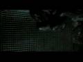Tiger Lou - Crushed by a Crowd music video