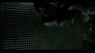 Tiger Lou - Crushed by a Crowd music video