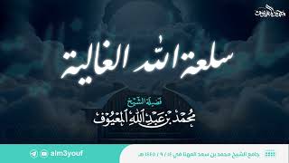 صورة سلعة الله الغالية