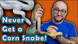 I REFUSE To Get A Corn Snake and YOU Shouldn