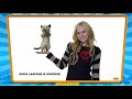 Over The Hedge Website Tour 2006