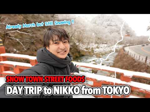 Luxury Train Ride from Tokyo to Nikko, Street Foods in Beautiful Snow Town and Snowy Shrine Ep.555