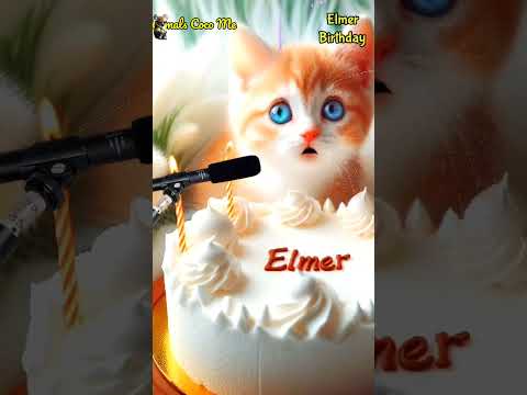 HAPPY BIRTHDAY ELMER | HAPPY BIRTHDAY SONG WITH NAMES | Adorable Cute Cat 😺 #cat #cute