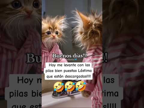 31 de agosto de 2025