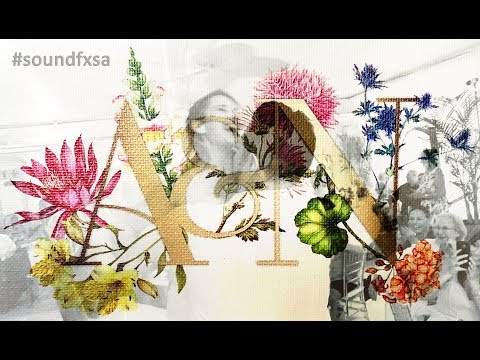 Sound FX Entertainment video.