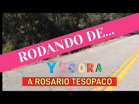 Rodando de Yécora a Rosario Tesopaco,Sonora