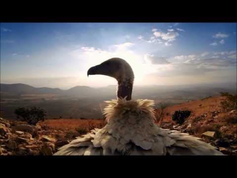 Robert Prime- Hans Zimmer Destiny's Door Remix