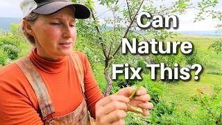 Letting Nature Take Its Course | Small Daily Tasks That Keep My Garden Thriving