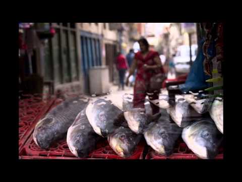 Nepal by Ionel Onofras