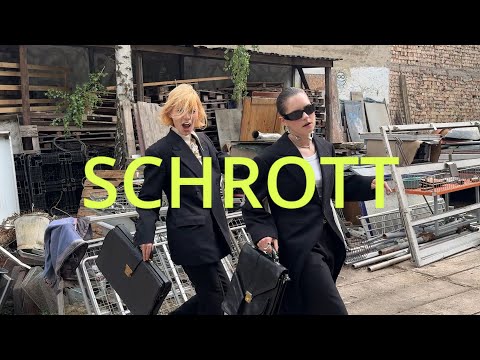 Alli Neumann feat. @fuffifufzich  - Schrott (Visualizer)