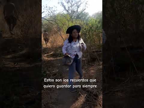 Mi madre siempre alegre. Chaco, Miraflores