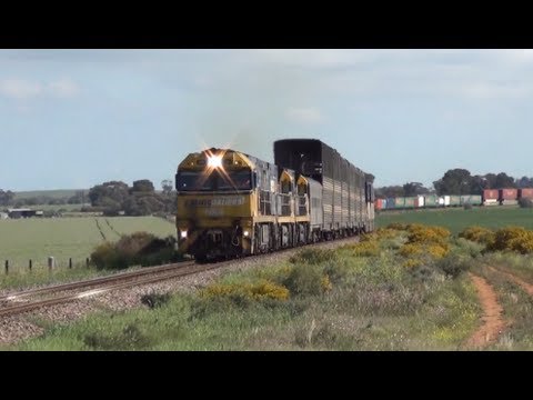 Pacific National freight train at Crystal Brook