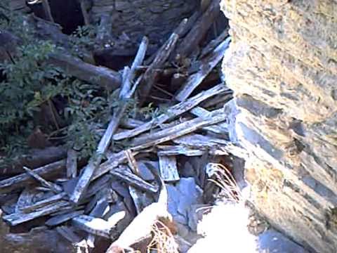 PERROS DE RESCATE, LUR TRABAJANDO, BOMBEROS DE BIZKAIA