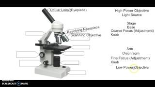 Microscope labeling