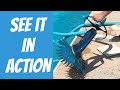 Zodiac Baracuda G3 Automatic Pool Vacuum Cleaner