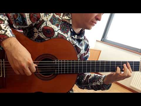 Bach Recitalbox -Sur inside guitar