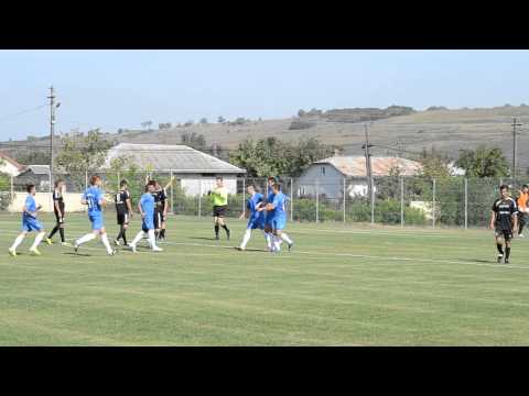 Luceafarul-CS Sanatatea Darabani 1-1 gol Andries