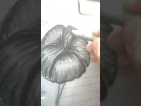 #flower petals#atiya drawing and craft