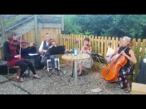 The Chemistry Quartet plays El Choclo