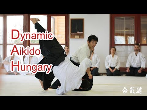 Dynamic and sharp Aikido in Hungary