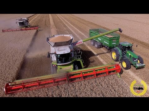 2 X Claas Lexion 770 mit Vario 1230 / John Deere mit Stronga Mulde / Weizenernte 2019
