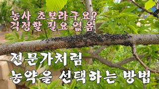 농사초보자도 전문가처럼 농약을 선택할 수 있는 방법