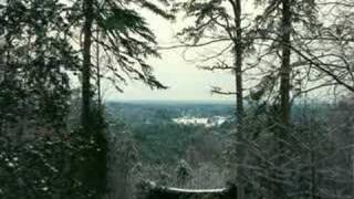 Never Take The Place of You (Al Anderson/NRBQ)