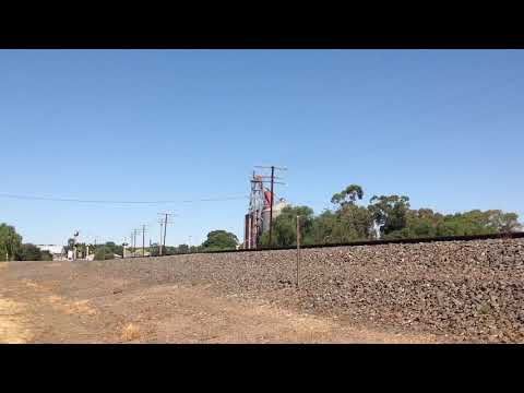 9733V , GM22 leads B61 (Bernie Baker) and RL306 , grain through Stawell, camera 4