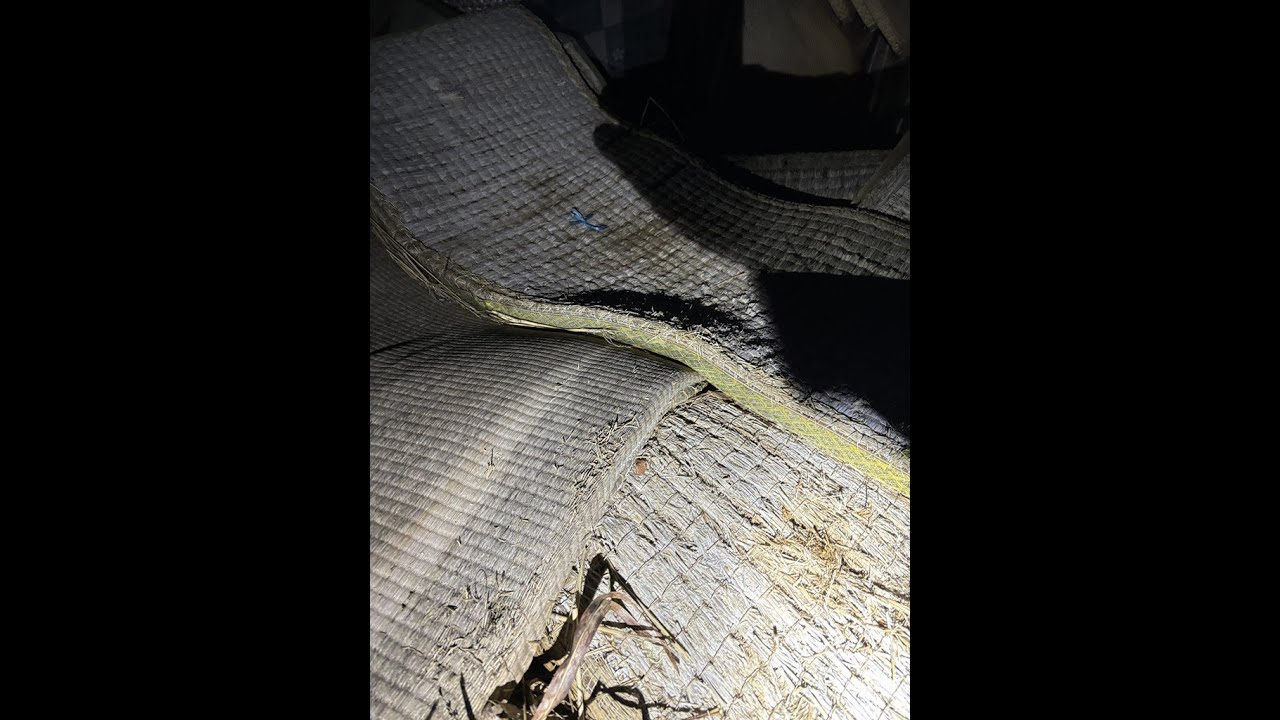 シッカリ工業(クルド人)の裏にある不法投棄現場