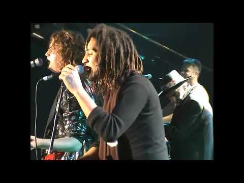 Rolan Bolan and Mickey Finn's T Rex.