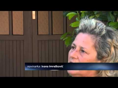 0921 DN JESMO LI TOLERANTNI PREMA STRANCIMA DNEVNIK 3000Kbps 720p