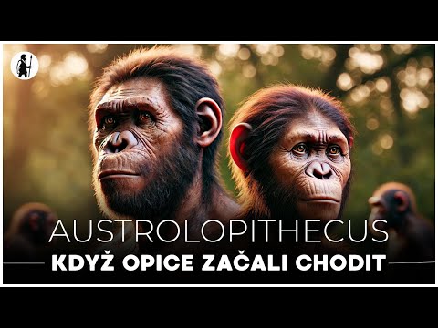 Australopithecus: Když opice začali chodit | Dokument - Pravěk | Evoluce