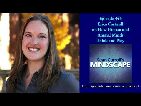 Erica Cartmill on How Human and Animal Minds Think and Play | Mindscape 346