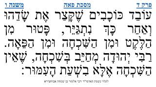 מסכת פאה פרק ד משנה ו