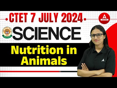 CTET Science Nutrition in Animals | CTET Science Classes 2024 By Kanak Maam