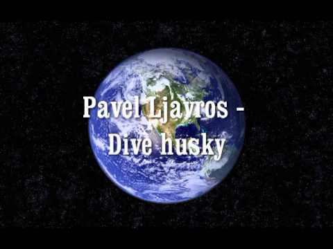 Pavel Ljavros - Dive husky