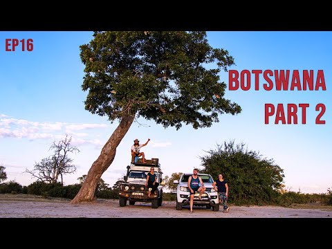 Botswana Part 2 - Savuti, Khwai North Gate and Xakanaxa - EP16