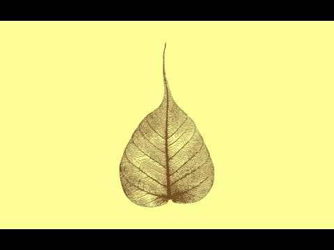 140905 Navigating the Jhanas \ \ Thanissaro Bhikkhu \ \ Short Dhamma Talk