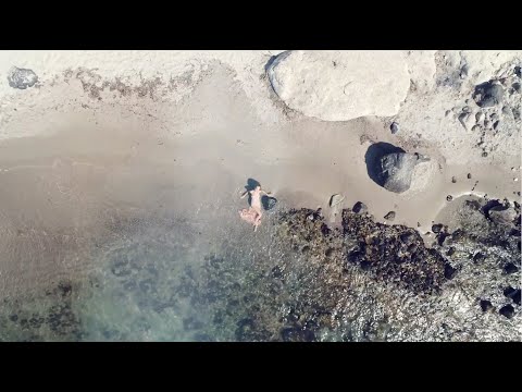 Alyce Paris Spring 2022