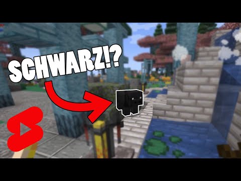 , title : 'Ein SCHWARZES Schwein in Minecraft!?'