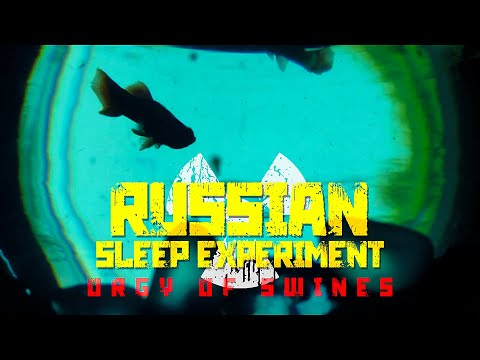 #RUSSIAN #SLEEP #EXPERIMENT - #ORGY OF #SWINES