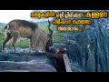 യൂറോപ്പിന് ഇല്ലാതാക്കാൻ ശ്രമിക്കുന�
