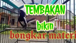 Download lagu KACER EMOSI NEMBAK NEMBAK BIKIN LAWAN BONGKAR MATERI mp3 Download lagu KACER EMOSI NEMBAK NEMBAK BIKIN LAWAN BONGKAR MATERI mp3
