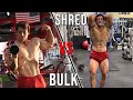 BULK VS SHREDDED | Natural