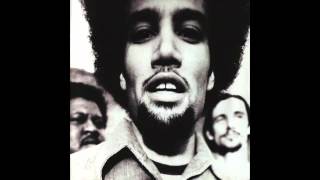 Ben Harper - Roses From My Friends