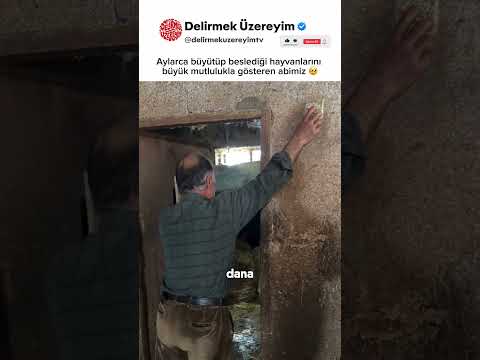 Bu hayvanı neyle beslediniz 😱 #dana #hayvan #shorts