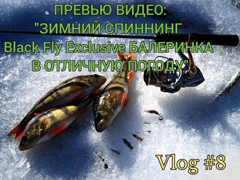 Фото ПРЕВЬЮ ВИДЕО! Зимний спиннинг Black Fly EXCLUSIVE БАЛЕРИНКА в отличную погоду!